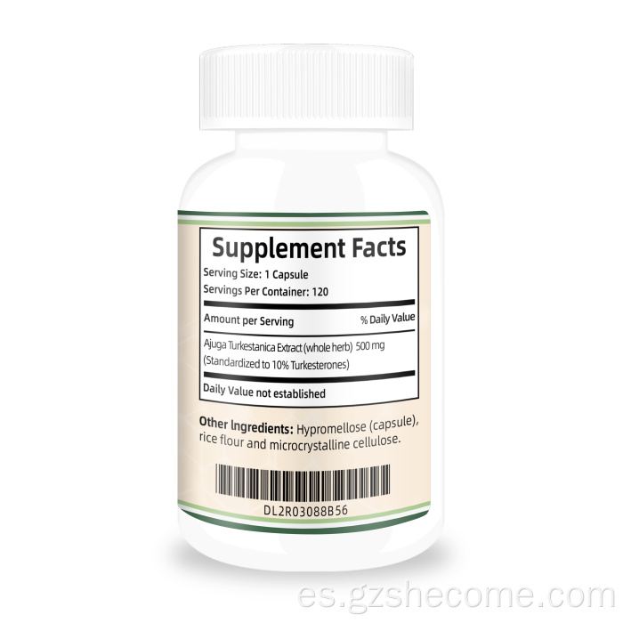 Cápsulas de Turkesterone de recuperación de ejercicio de soporte de turkesterona